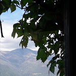 Photo n°2 de l'avis de Renzo.i fait le 26/04/2022 à 11:16 sur le  Ristorante Crotto di Pino à Varenna