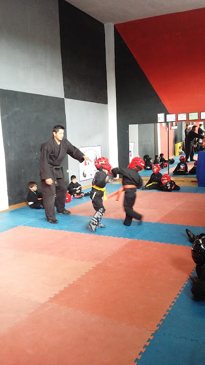 Academia de Formación Deportiva ROCHA Kung Fu