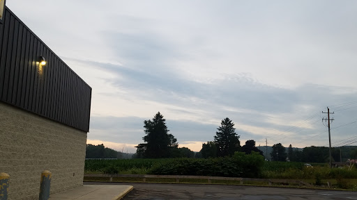 Discount Store «Dollar General», reviews and photos, 1140 Owego Rd, Candor, NY 13743, USA