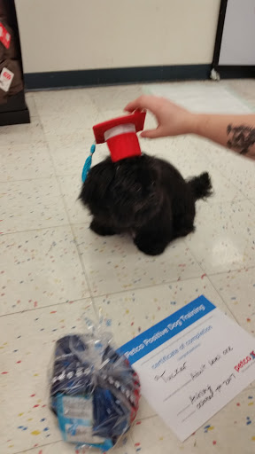 Pet Supply Store «Petco Animal Supplies», reviews and photos, 313 Homer M Adams Pkwy, Alton, IL 62002, USA