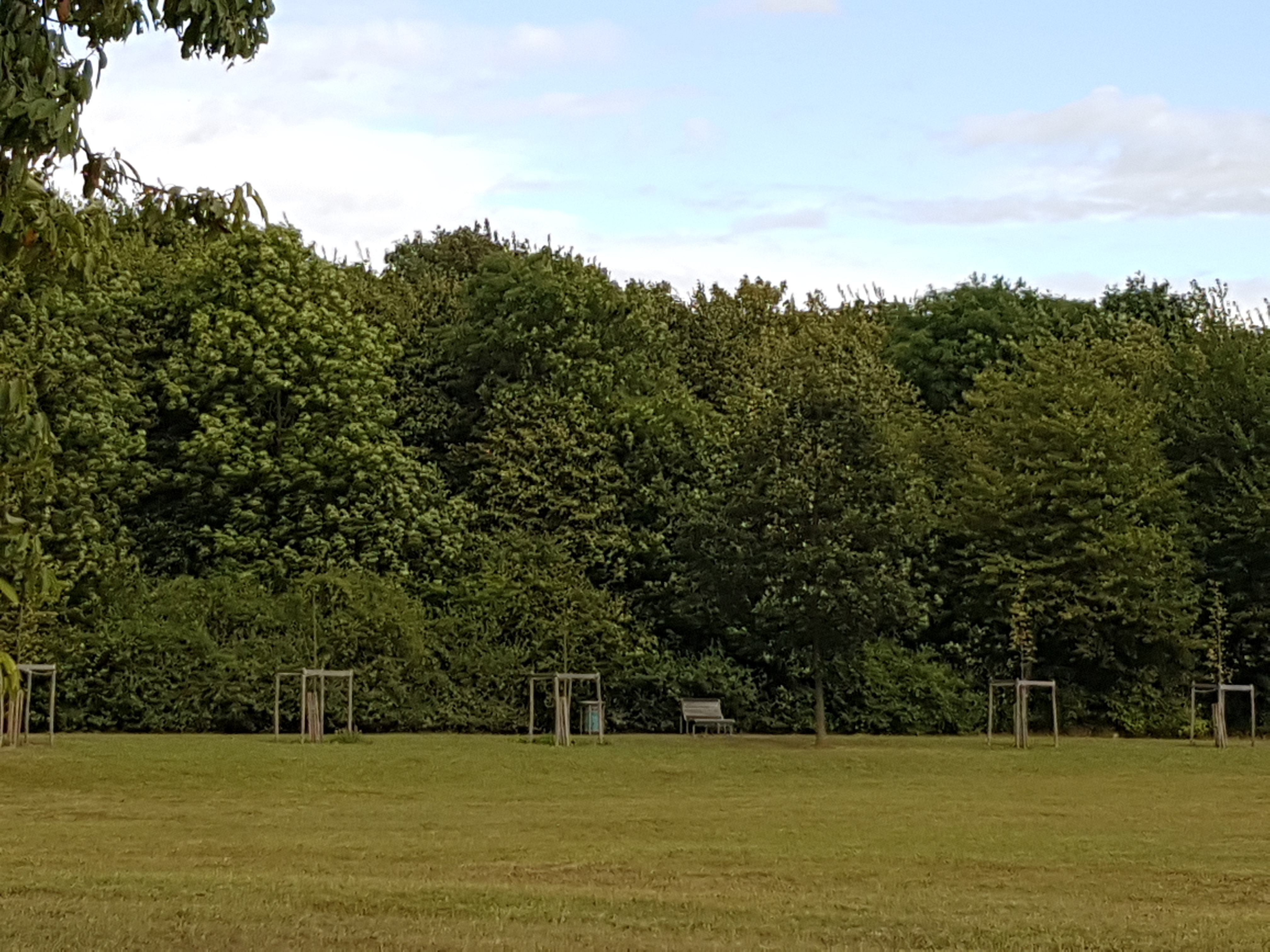 Photo n° 1 de l'avis de Madly.i fait le 13/09/2016 à 11:27