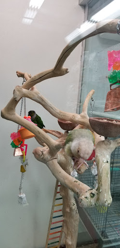 Pet Supply Store «Petland Discounts - Flatbush Ave.», reviews and photos, 968 Flatbush Ave, Brooklyn, NY 11226, USA