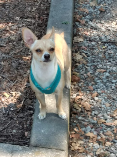 Pet Supply Store «Petco Animal Supplies», reviews and photos, 520 Woodside Rd, Redwood City, CA 94061, USA