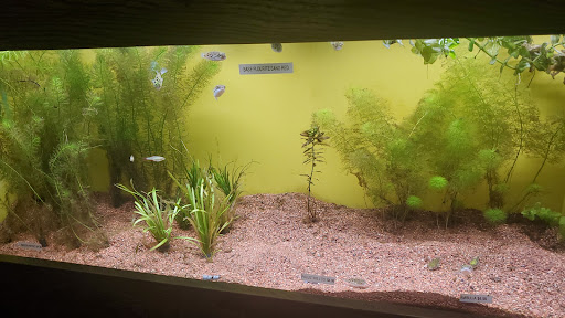 Pet Store «Animal Krackers Pet Center», reviews and photos, 3309 W 115th St, Merrionette Park, IL 60803, USA