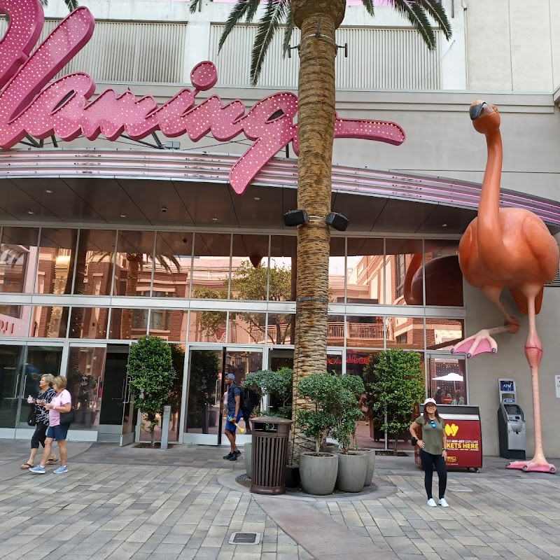 Flamingo Wildlife Habitat