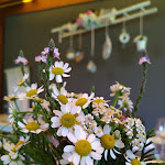 Photo n°4 de l'avis de Forne.e fait le 21/06/2020 à 16:56 sur le  Ristorante Tregnago 1908 à Montecchia di Crosara