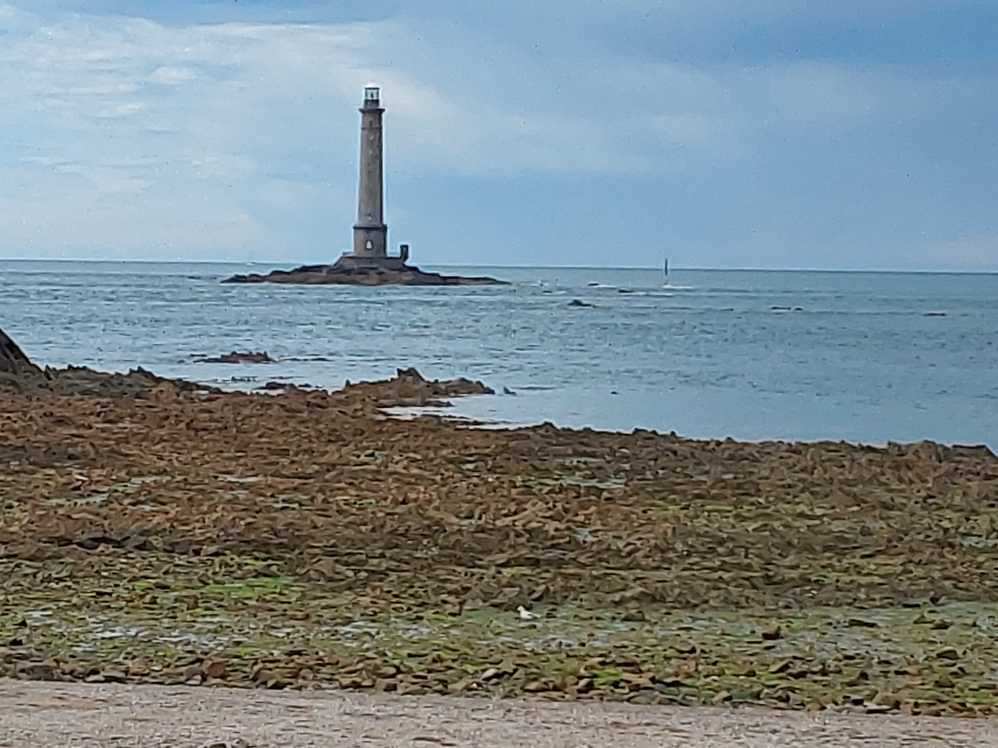 Photo n° 2 de l'avis de vidal.a fait le 05/06/2022 à 18:03
