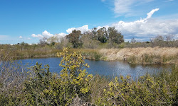 Otay Valley Regional Park