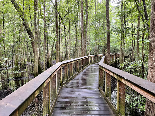 National Park «Congaree National Park», reviews and photos