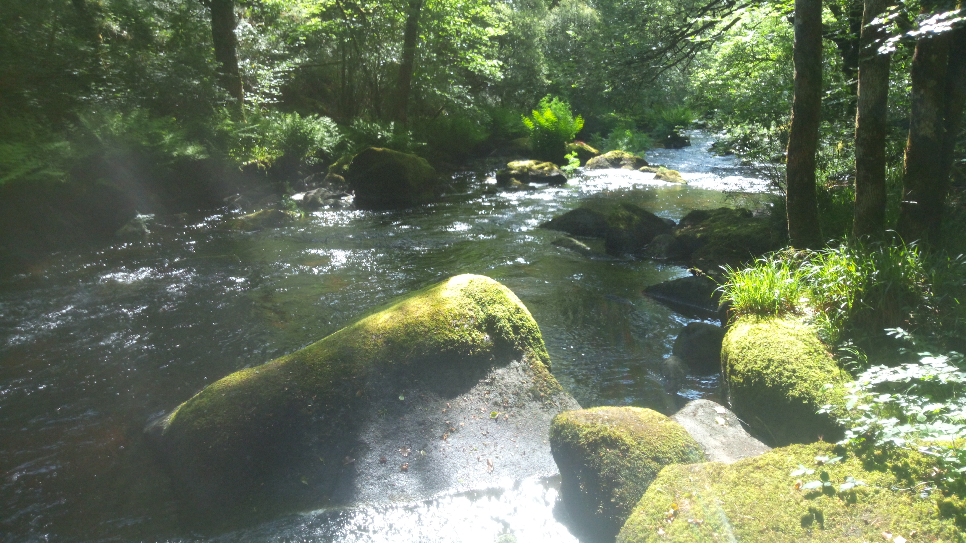 Photo n° 5 de l'avis de Pat.o fait le 01/06/2019 à 07:38