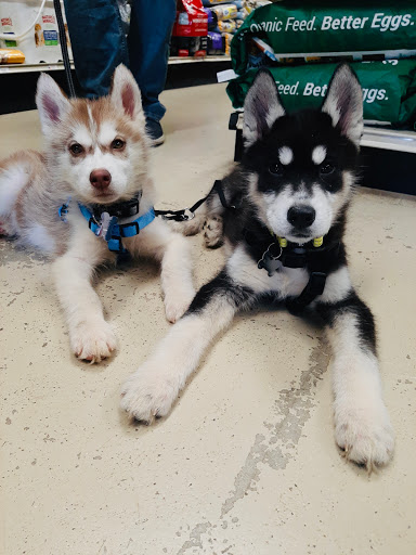 Pet Supply Store «Red Mill Pet Supplies», reviews and photos, 1111 W Chicago Blvd # 120, Tecumseh, MI 49286, USA