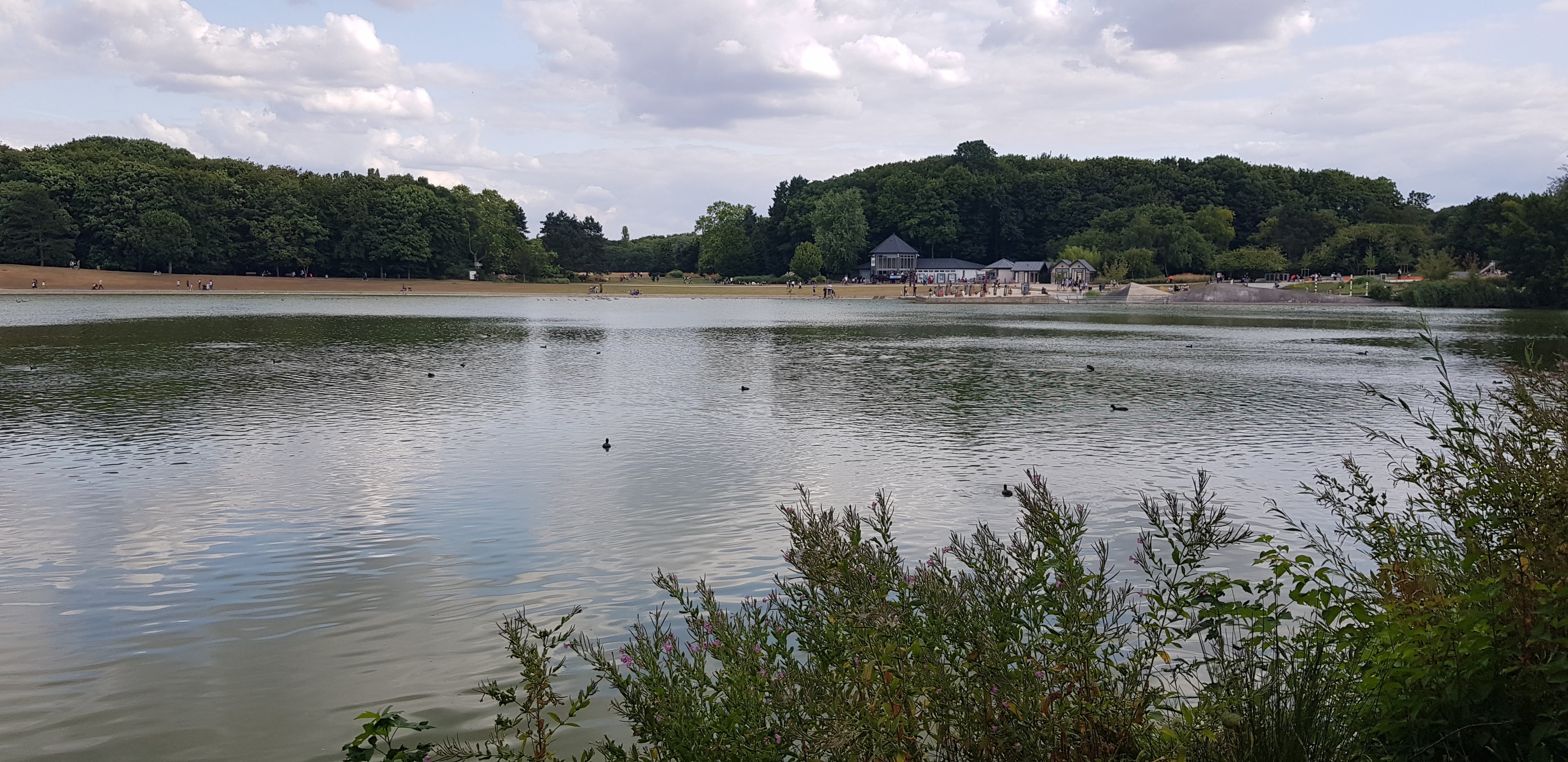 Photo n° 5 de l'avis de Ado.e fait le 29/07/2019 à 08:08