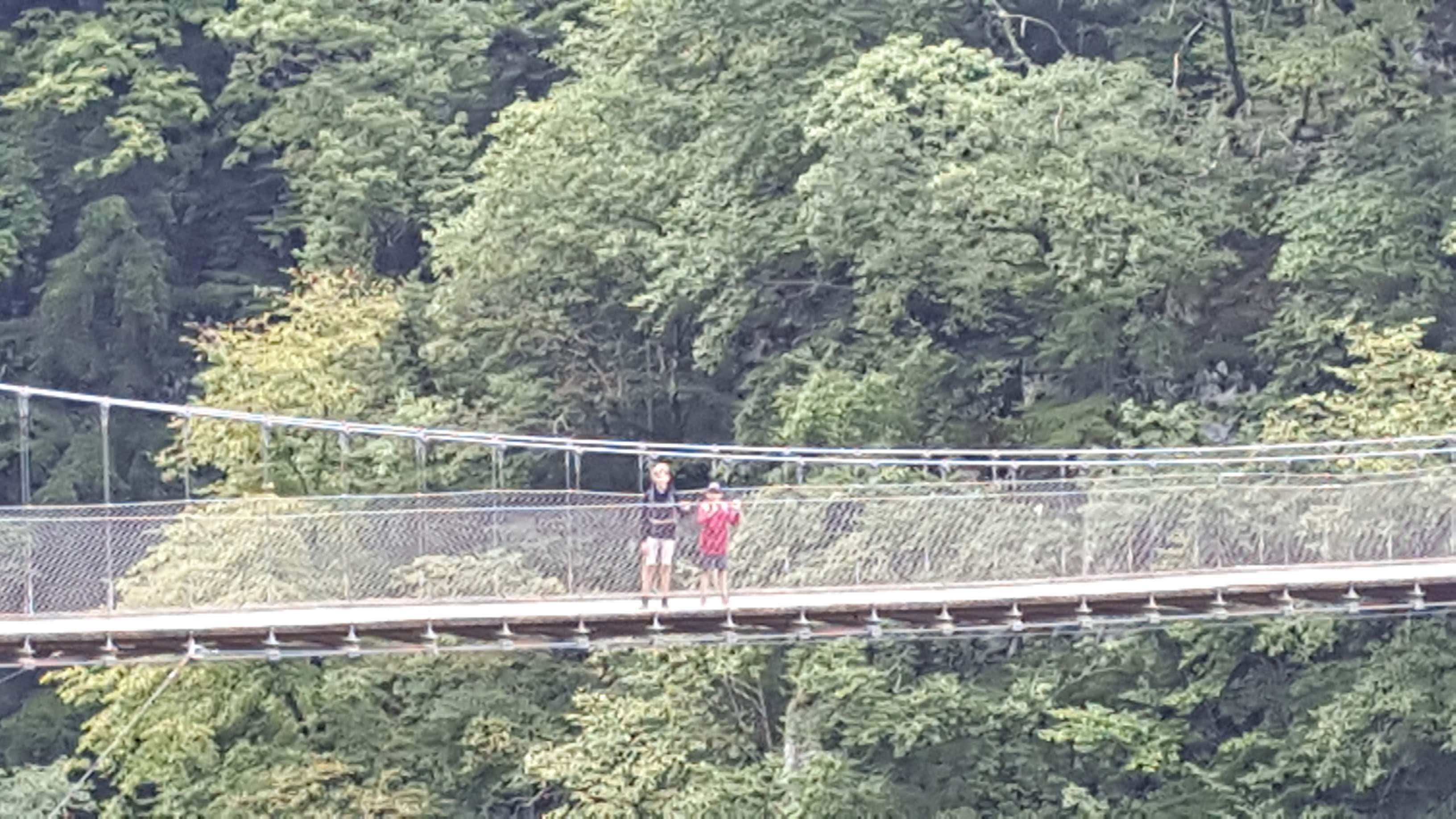 Photo n° 2 de l'avis de Nadège.l fait le 15/08/2019 à 10:57