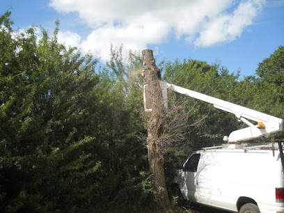 Whiting Tree Service