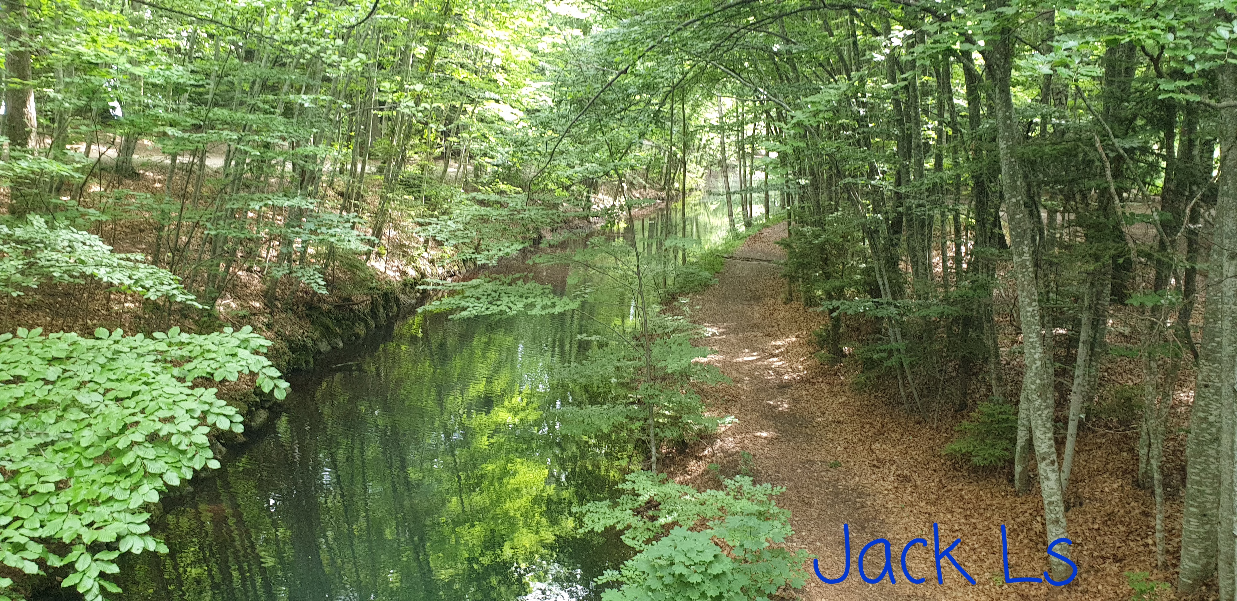 Photo n° 15 de l'avis de Jack.s fait le 09/06/2023 à 15:22
