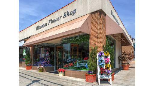 Blossom Flower Shops, 275 Mamaroneck Ave, White Plains, NY 10605, USA, 