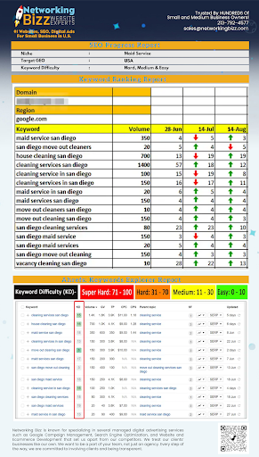 SEO Web Design Arcadia - Networking Bizz image