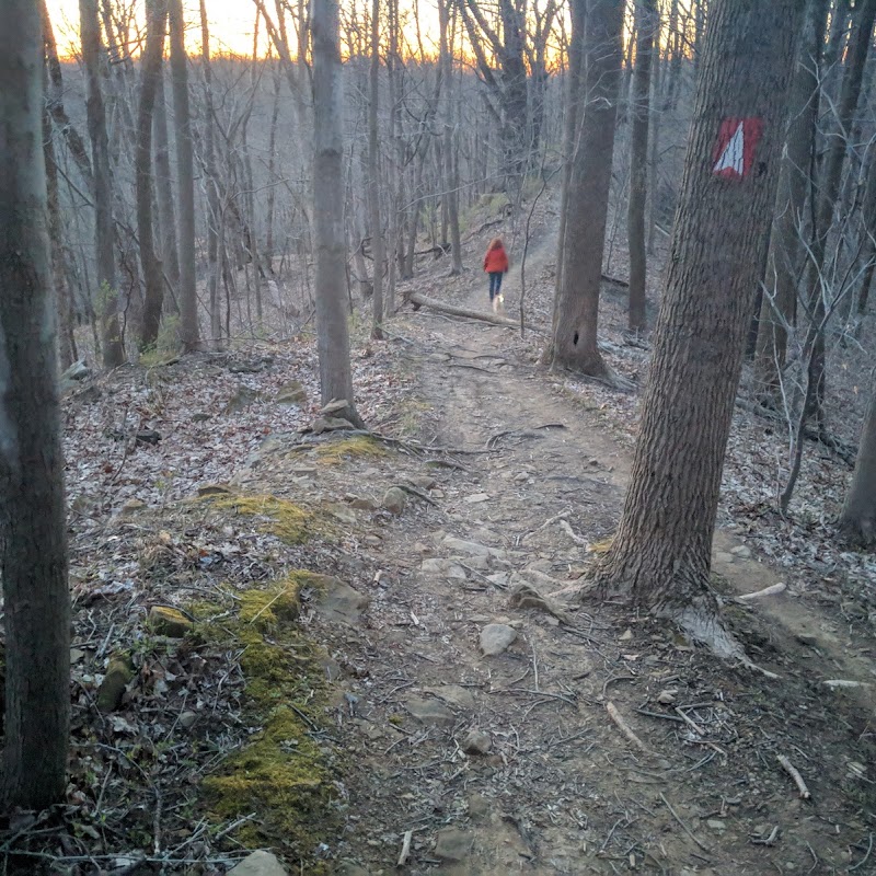 Dale & Jackie Riddle State Nature Preserve