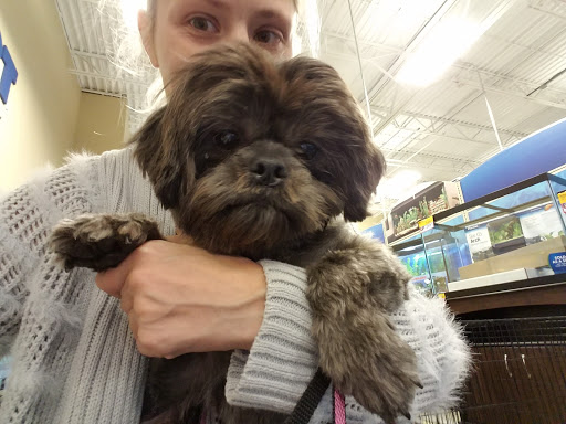 Pet Supply Store «PetSmart», reviews and photos, 1157 E North Ave, Belton, MO 64012, USA