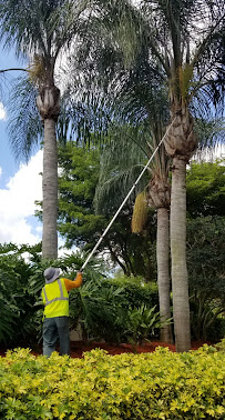 Landmark Grounds Services - Photo 8 - Car repair in , West Palm Beach
