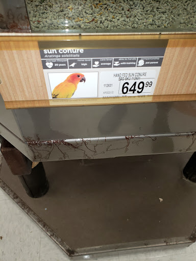 Pet Supply Store «Petco Animal Supplies», reviews and photos, 8111 W Broward Blvd, Plantation, FL 33324, USA