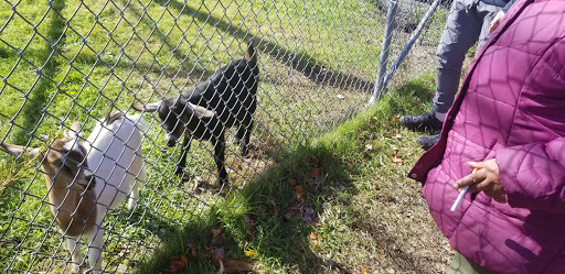 Farm «Fairmount Fruit Farm», reviews and photos, 887 Lincoln Street, Franklin, MA 02038, USA