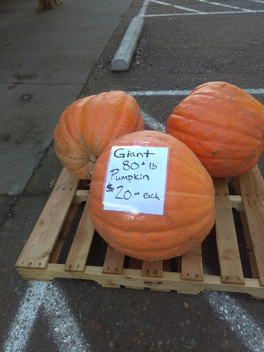 Produce Market «Jones Farm Produce», reviews and photos, 10325 River Rd NE, Salem, OR 97303, USA