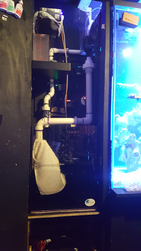 Pet Store «Sho Tank Aquariums», reviews and photos, 433 N Lake St, Mundelein, IL 60060, USA