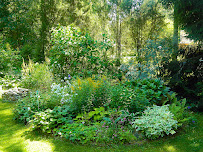 Joshua Tree Lawn Care - Photo 6 - Car repair in , College Station