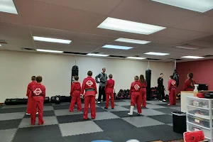 Alexandria Martial Arts & Movement image