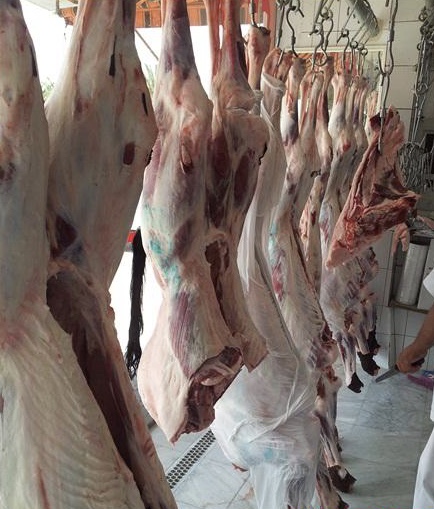 ملحمة زهرة العوالي للحوم الطازجة 