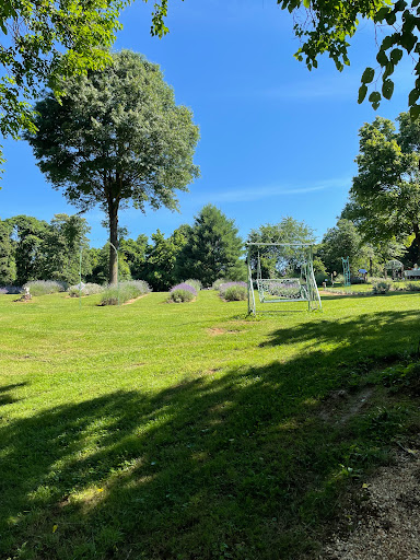 Farm «Blooming Hill Lavender Farm», reviews and photos, 19929 Telegraph Springs Rd, Purcellville, VA 20132, USA