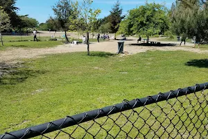 Alameda Dog Park image