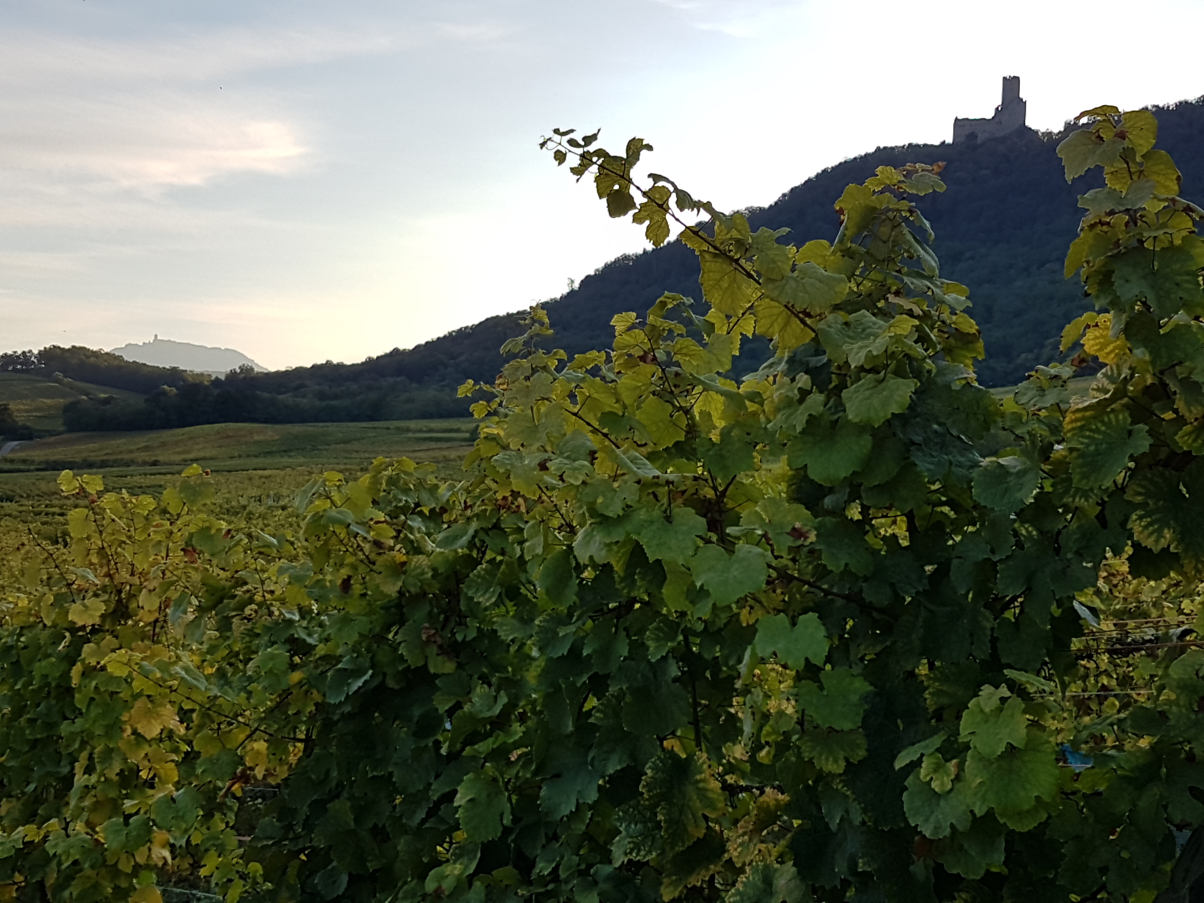 Photo n° 1 de l'avis de Céline,.a fait le 10/10/2021 à 19:13