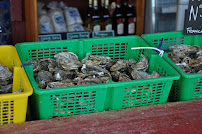 Photos du propriétaire du Bar-restaurant à huîtres HUITRES COCOLLOS BOURCEFRANC à Bourcefranc-le-Chapus - n°12