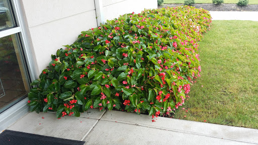 Donut Shop «Krispy Kreme», reviews and photos, 4198 Hacks Cross Rd, Memphis, TN 38125, USA