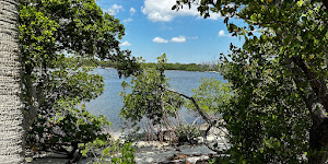 Gumbo Limbo Nature Center