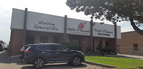 Gatto Flower Distributing Inc