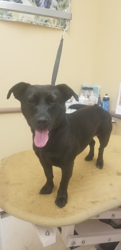 Pet Supply Store «PetSmart», reviews and photos, 2391 NJ-66, Ocean Township, NJ 07712, USA