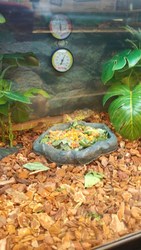 Pet Supply Store «Petco Animal Supplies», reviews and photos, 473 State Rd, North Dartmouth, MA 02747, USA