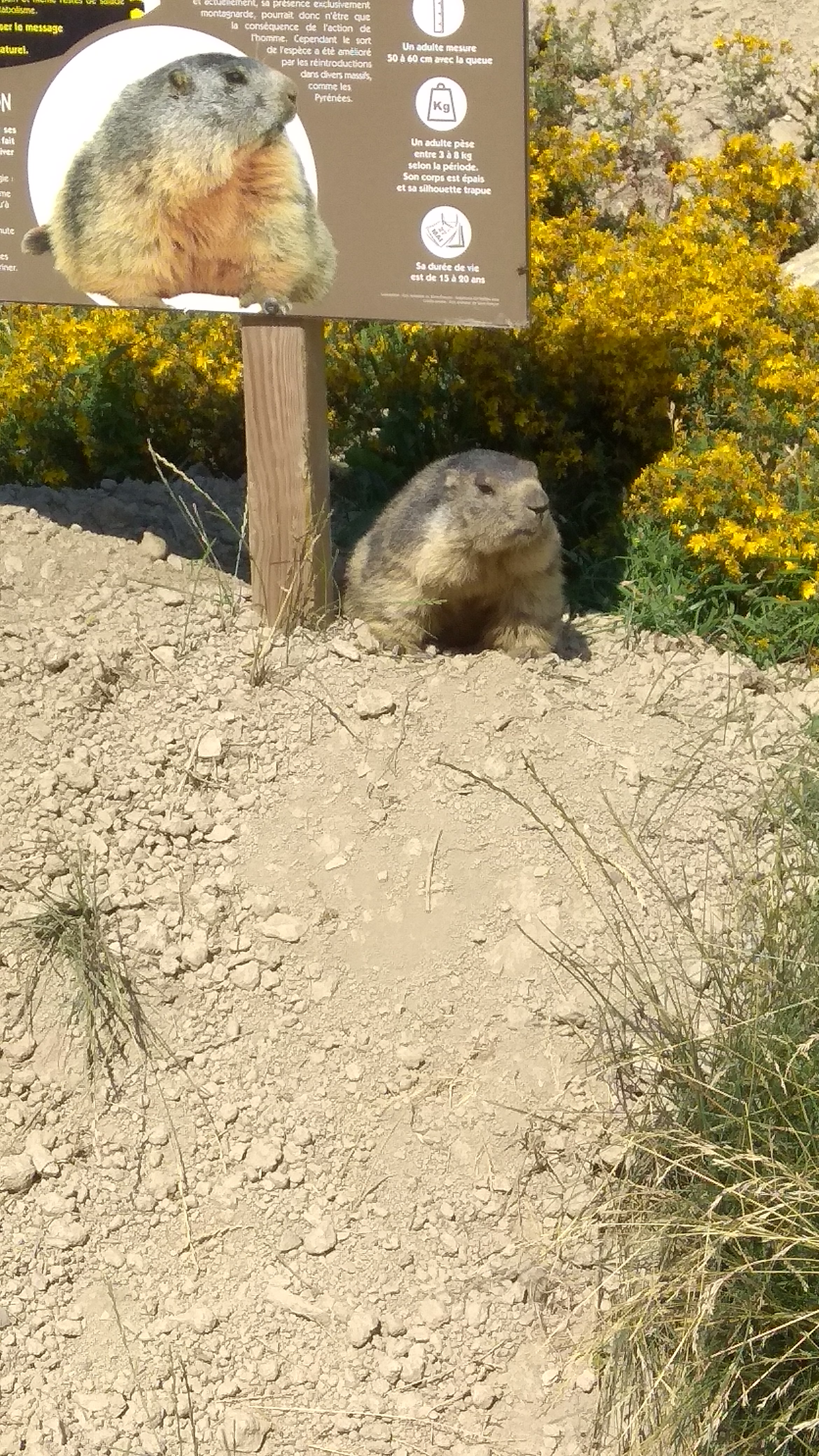 Photo n° 1 de l'avis de Arnaud.O fait le 17/07/2019 à 15:20