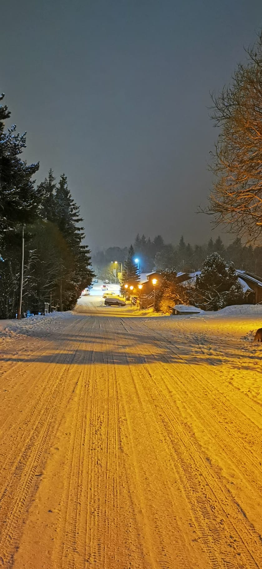 Photo n° 14 de l'avis de Jean-francois.e fait le 10/02/2023 à 19:27