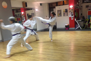 Limerick Shotokan Karate Shojinkai