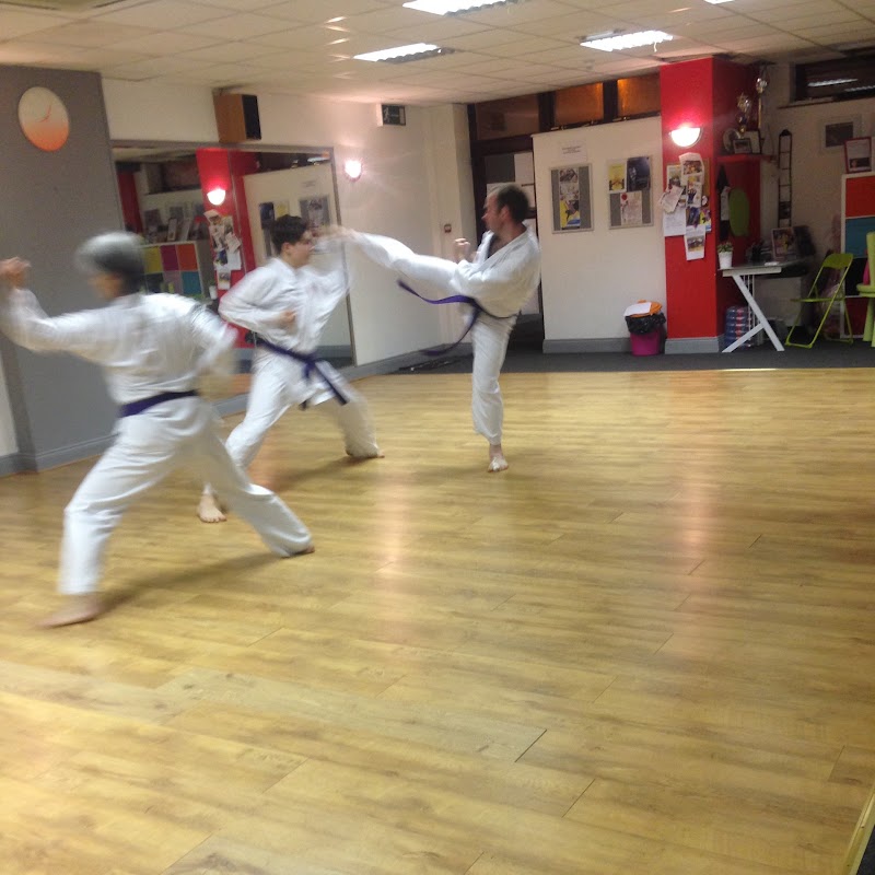 Limerick Shotokan Karate Shojinkai