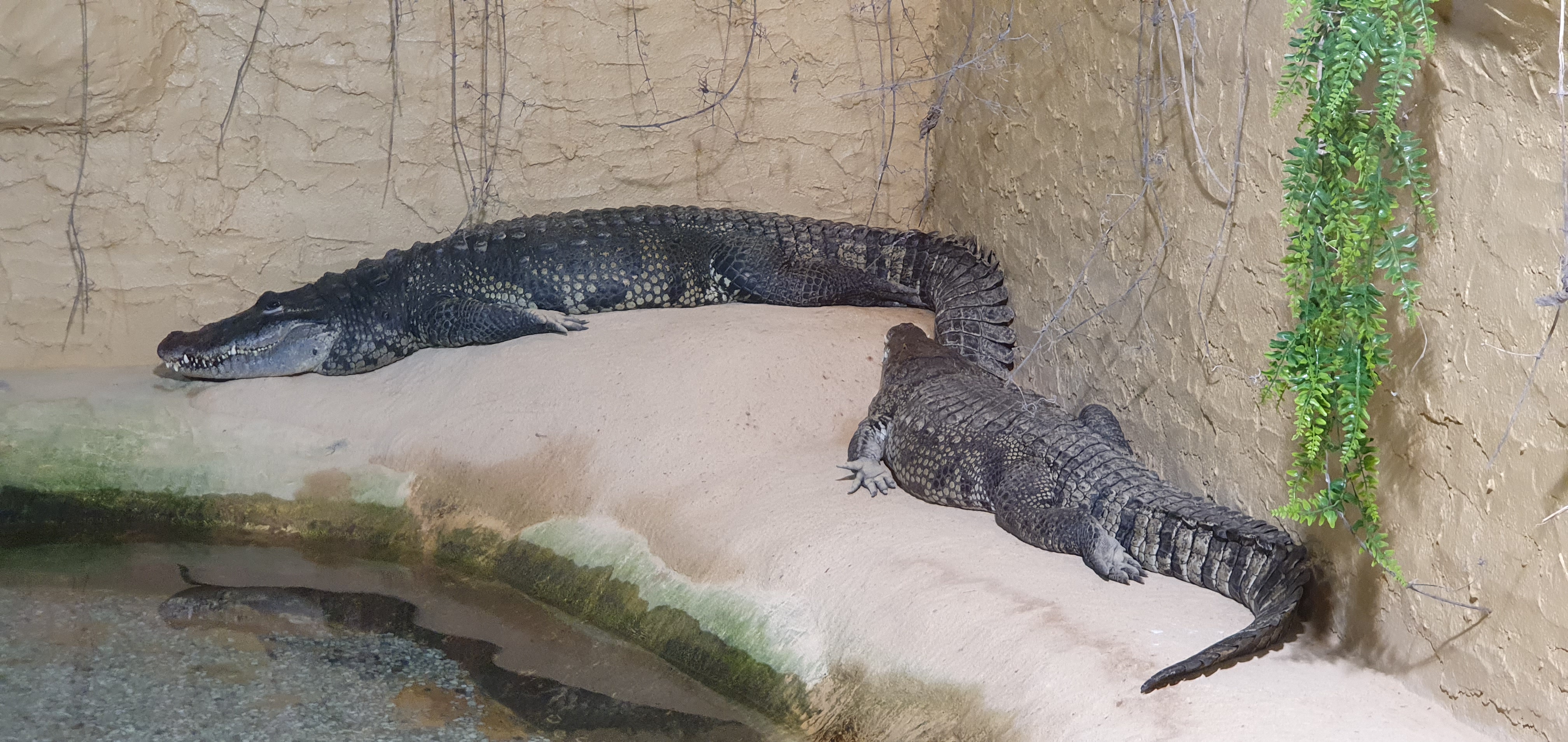 Photo n° 4 de l'avis de Laëtitia.E fait le 25/07/2020 à 00:11