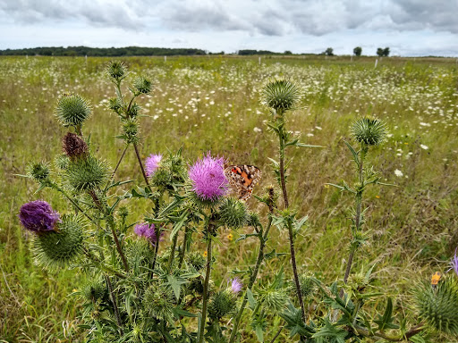 Nature Preserve «Brunner Family Forest Preserve», reviews and photos, 18N681 State Rte 31, Carpentersville, IL 60110, USA