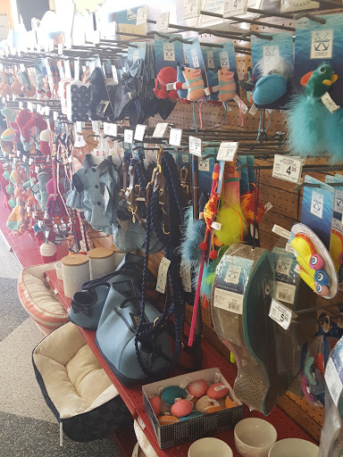 Pet Supply Store «Petco Animal Supplies», reviews and photos, 1401 E Spring Valley Rd, Richardson, TX 75081, USA