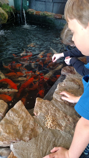 Pet Store «Fish Bowl», reviews and photos, 2117 E Race Ave, Searcy, AR 72143, USA