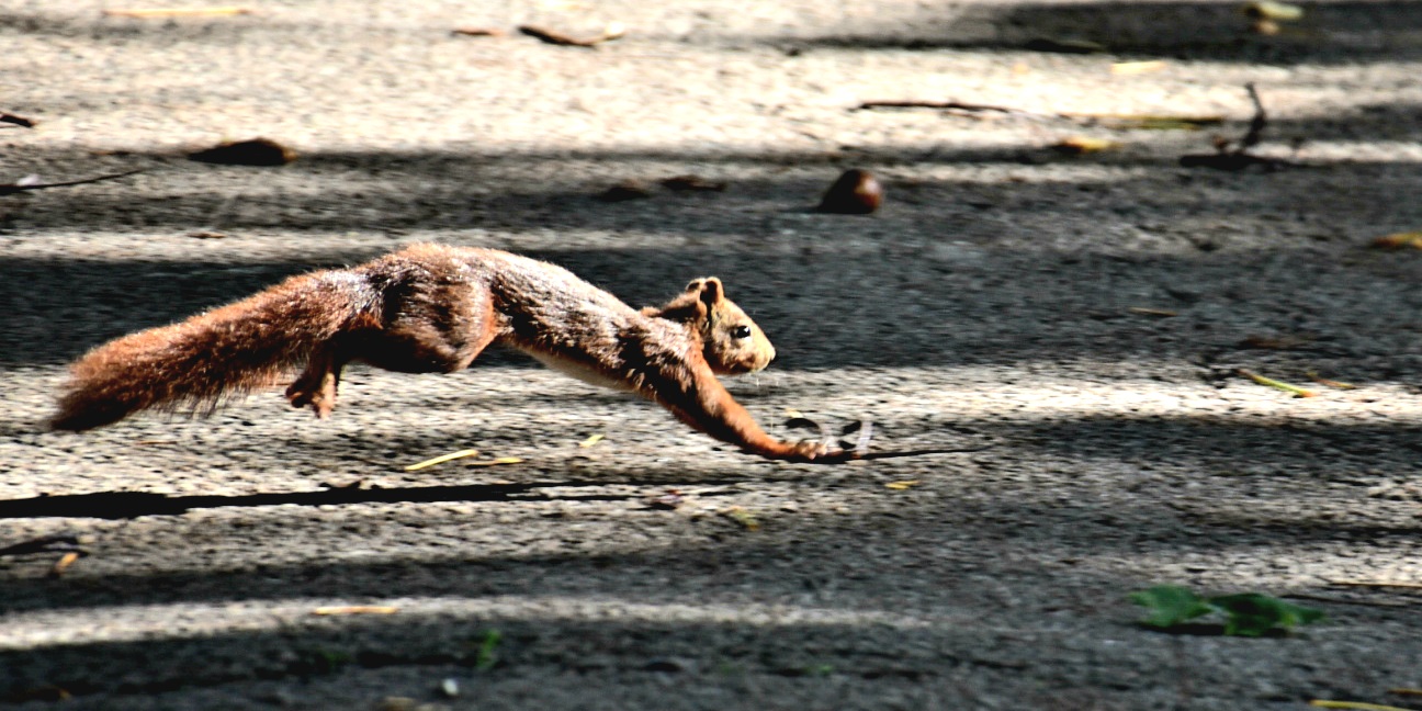 Photo n° 3 de l'avis de Henri.o fait le 05/10/2023 à 07:22