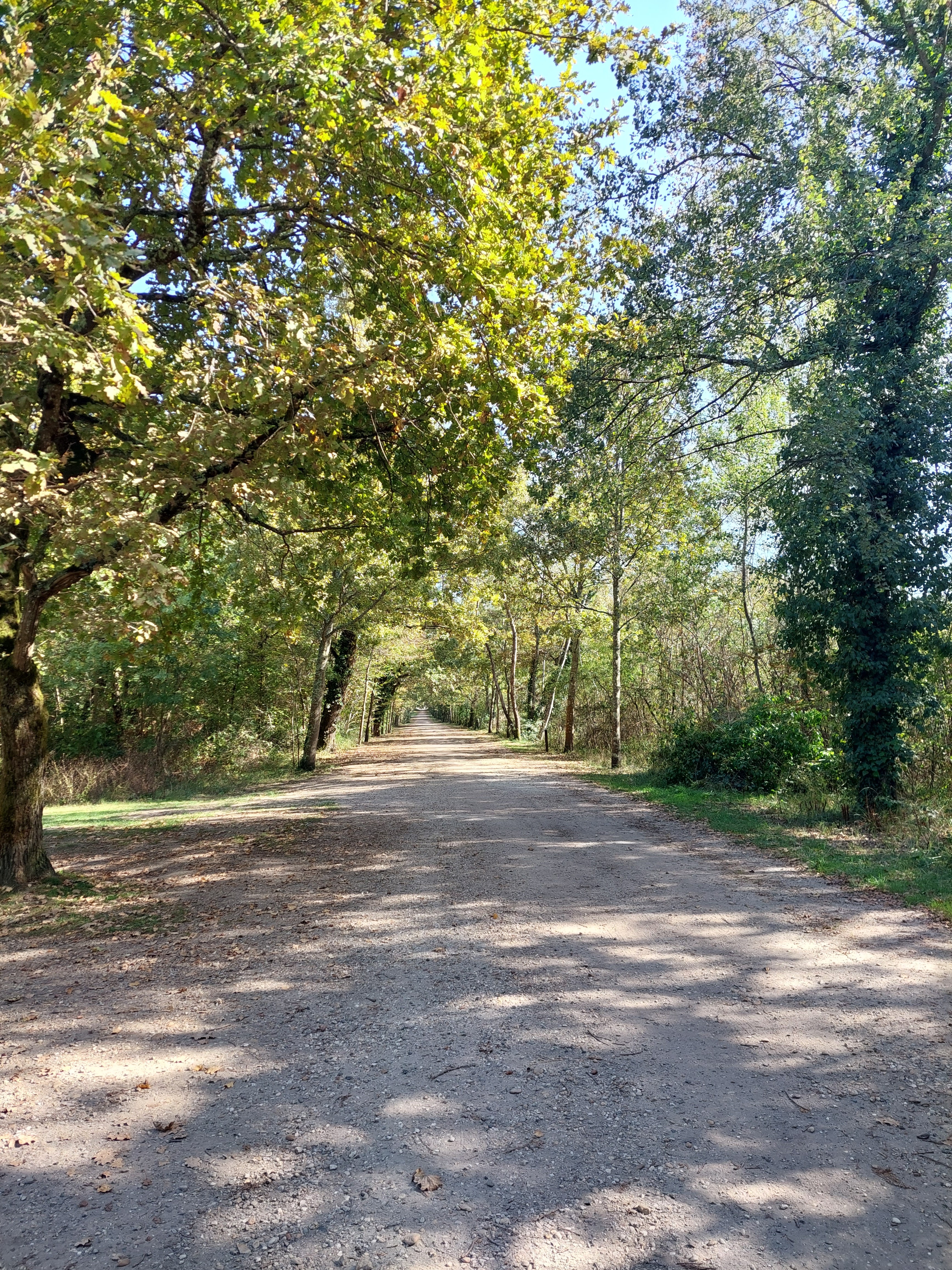 Photo n° 8 de l'avis de Florence.R fait le 11/10/2023 à 23:16